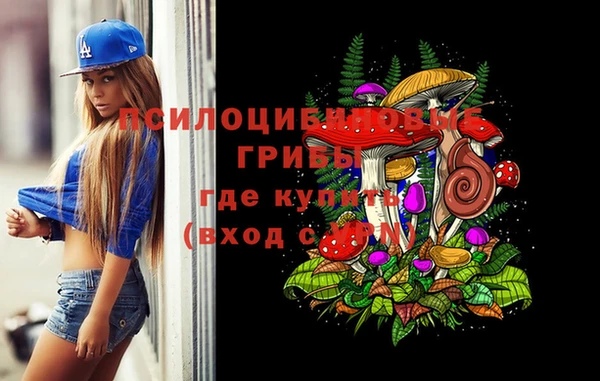меф Заводоуковск